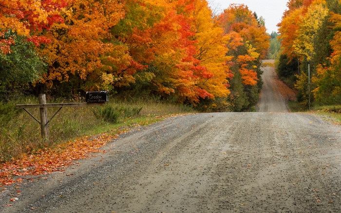 Autumn road with colorful trees and mailbox