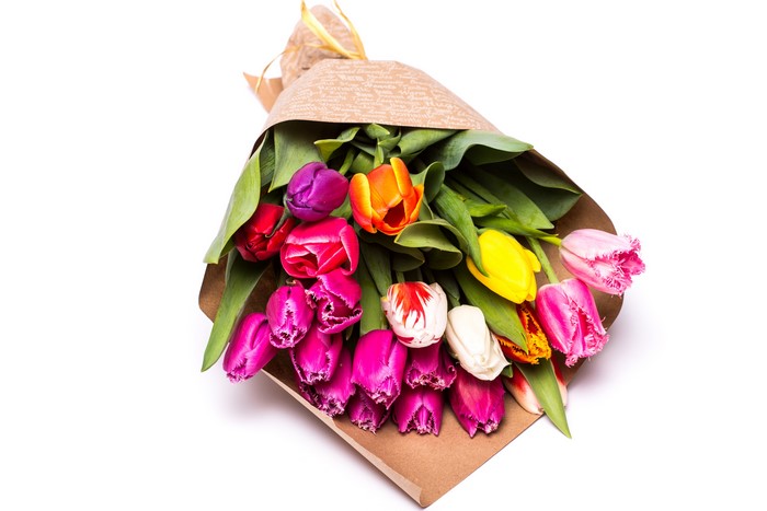 Bouquet of Tulips
