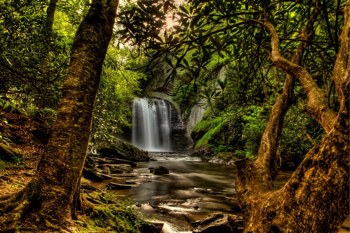 Waterfall in Pisgah National Forest, USA