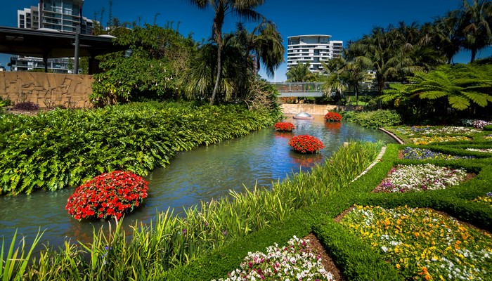 Botanical garden with river and flowers in Brisbane, Australia