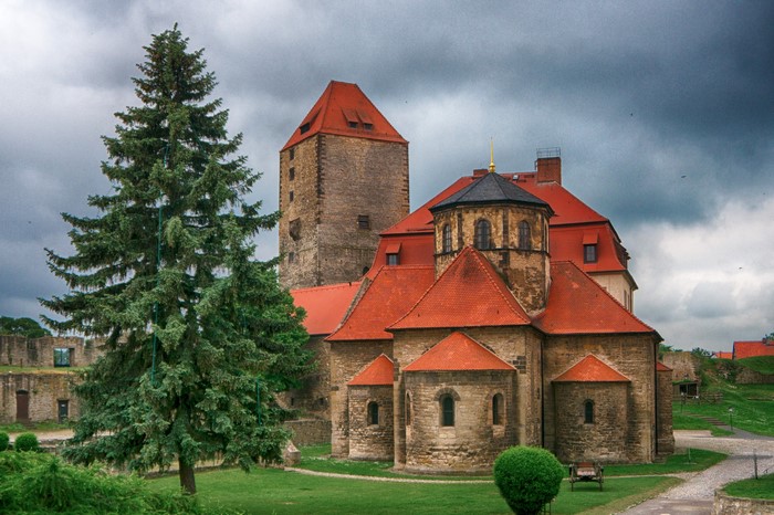 Burg Querfurt Kapelle with Spruce Tree