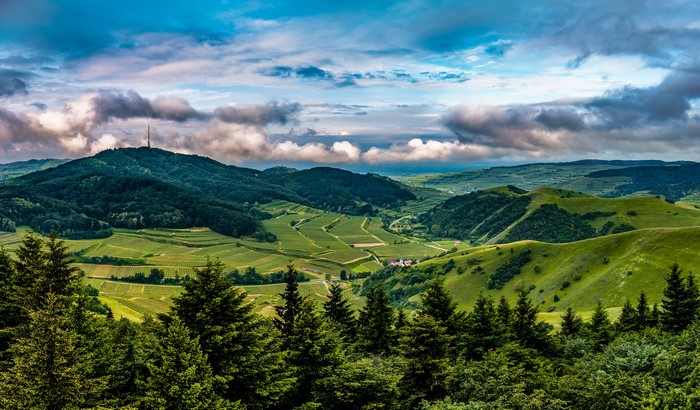Kaiserstuhl Hills Germany Scenery with Vineyards and Forests