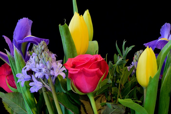 Roses, Tulips, and Irises with Black Background