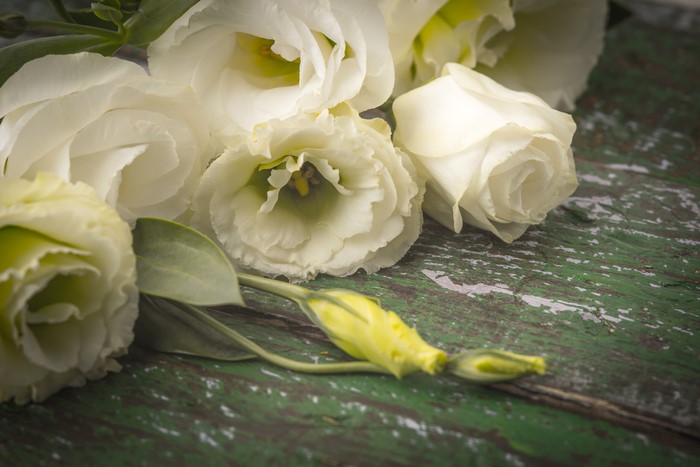 White Eustoma Flowers on Green Wooden Surface