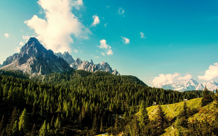 Mountains Sky Forests Scenery
