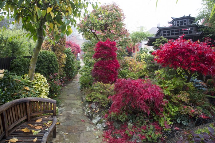 Japanese Garden with Red Maple Trees and Pagoda in Walsall, UK