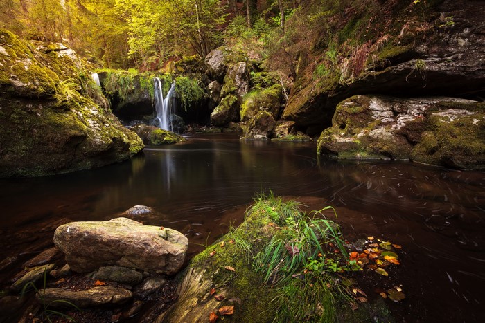 Waterfall cascading over mossy rocks in a forest