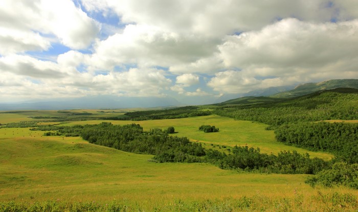 Rolling green hills and forests under a cloudy sky in Alberta, Canada