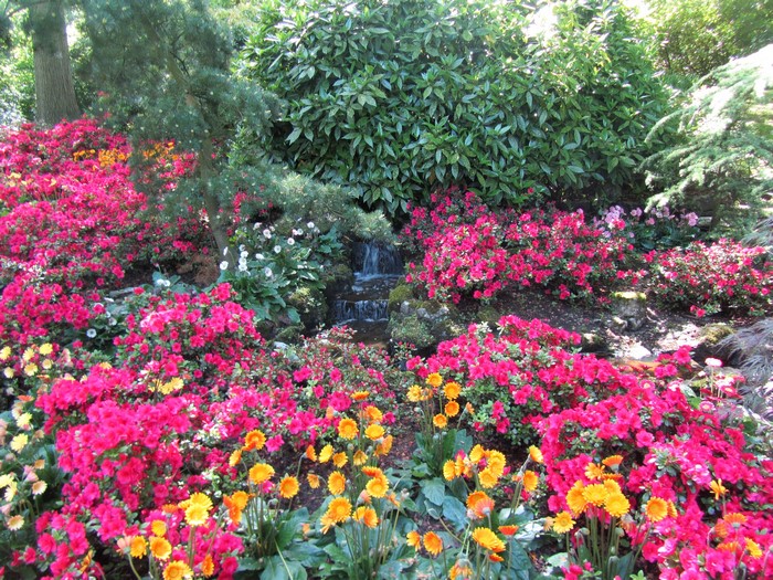 Garden with pink and orange flowers and a waterfall