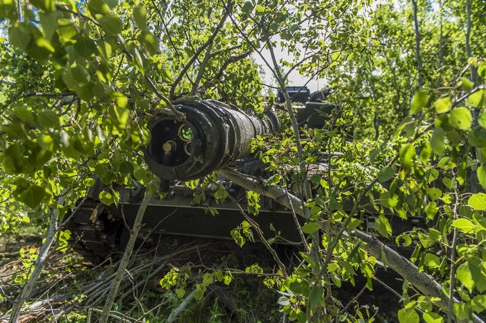 Leopard 2A6 Tank Camouflaged in Foliage