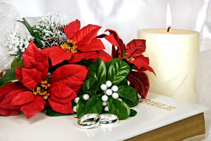 Wedding rings with poinsettias and Bible