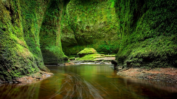 Moss-covered gorge with a river in Scotland