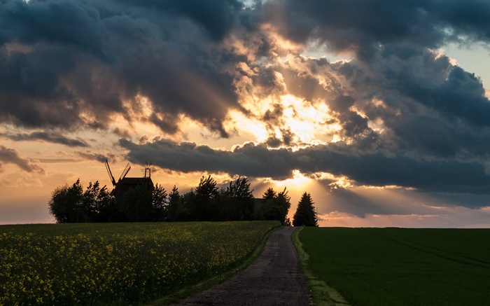 Sunset over a rural landscape with a windmill