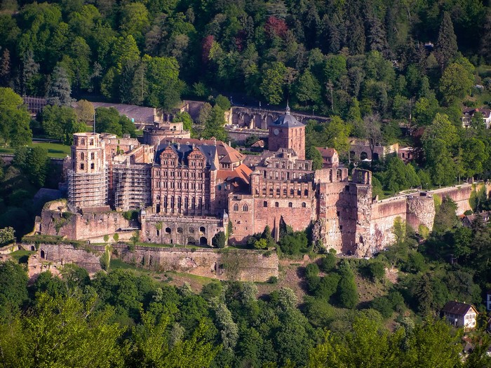Heidelberg Castle surrounded by trees in Germany