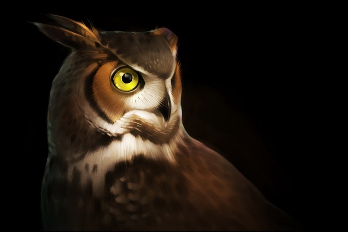 Painting of a Great Horned Owl on a black background