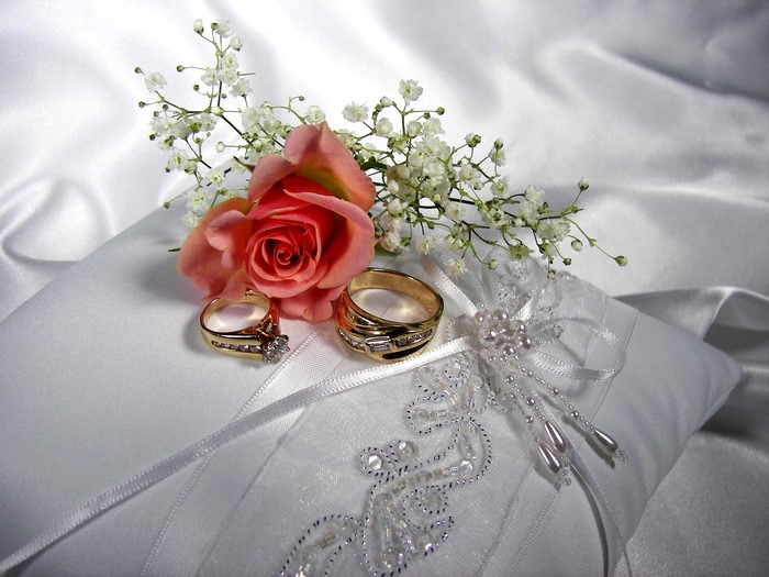 Wedding Rings and Rose on Pillow