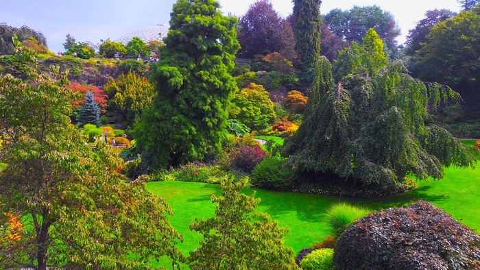 Queen Elizabeth Garden in Vancouver, Canada