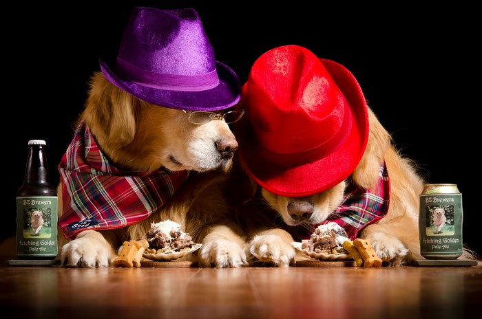Two Golden Retrievers wearing hats and scarves with beer and food