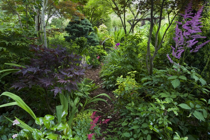 Walsall Garden in England with lush shrubs