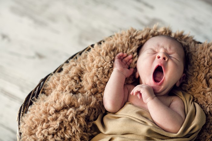 Newborn baby yawning in a basket
