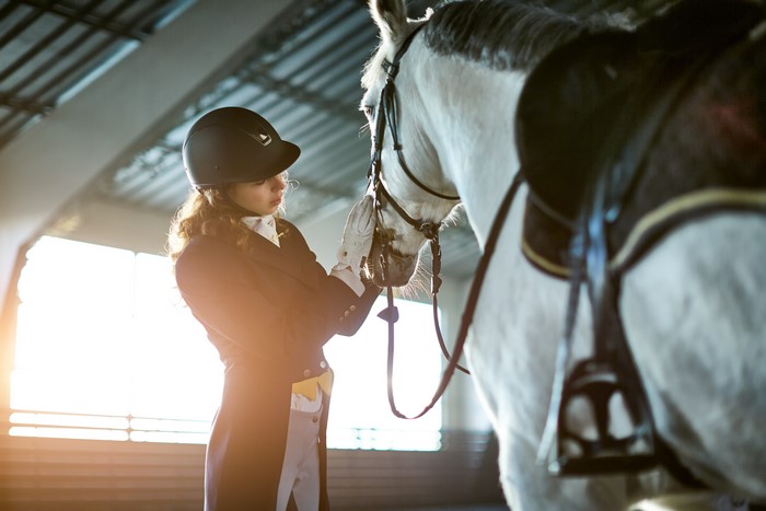 Girl in riding attire with white horse