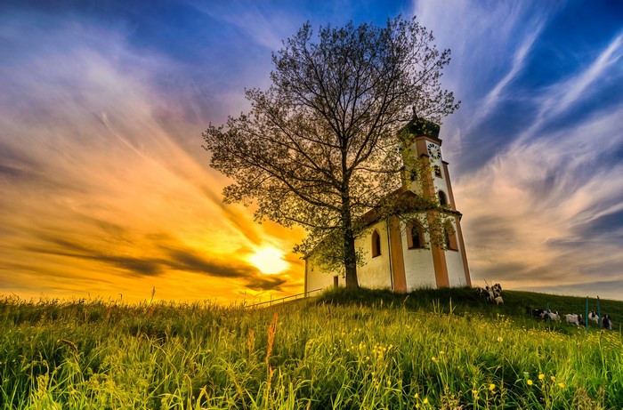 Church on a hill at sunset with goats in Oberschwaben, Germany