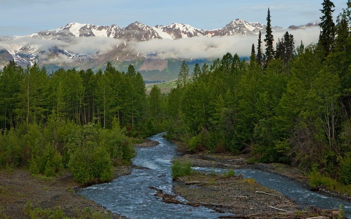 River flowing through forest with snow-capped mountains