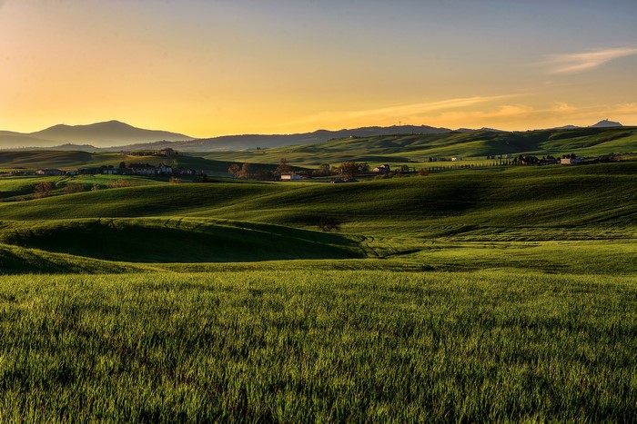 Rolling green hills in Tuscany, Italy at sunset