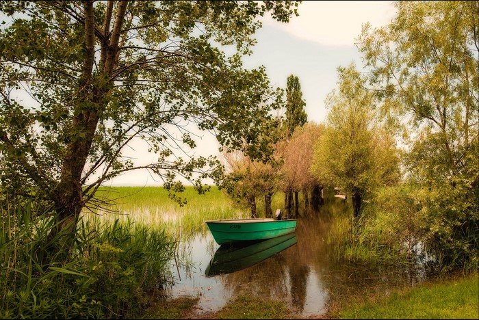Green boat on a calm river surrounded by trees