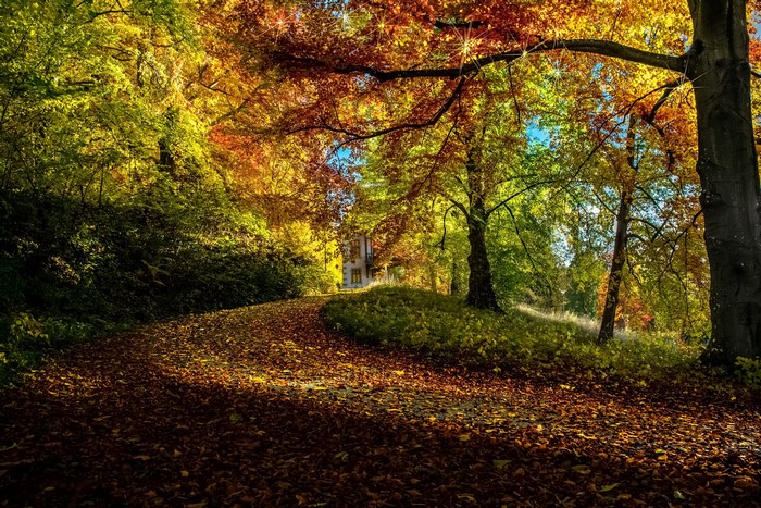 Autumn path with colorful trees and a building