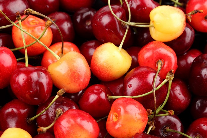 Close-up of fresh cherries
