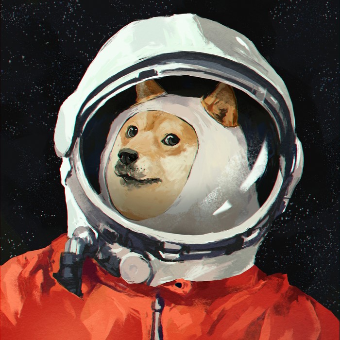 Doge astronaut in a helmet and orange suit