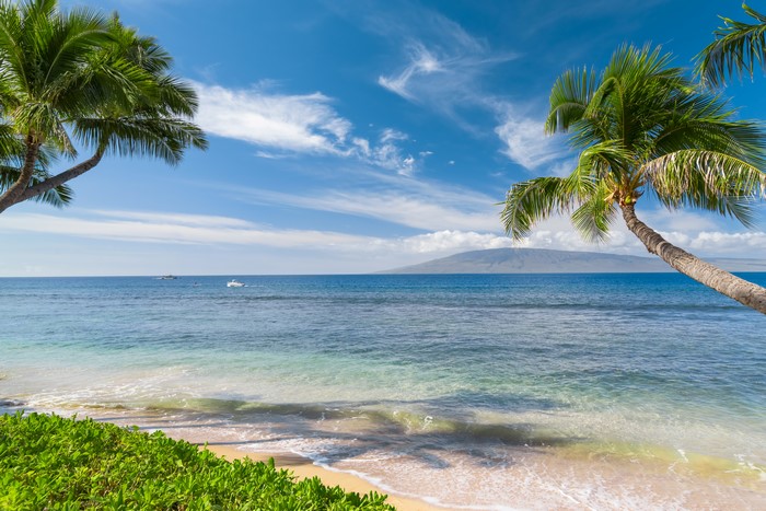 Tropical beach with palm trees and ocean