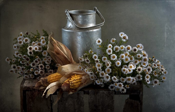Still-life with camomiles, corn, and milk can