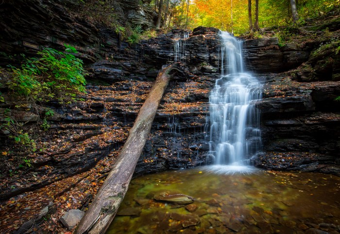 Ricketts Glen State Park Waterfall in Autumn