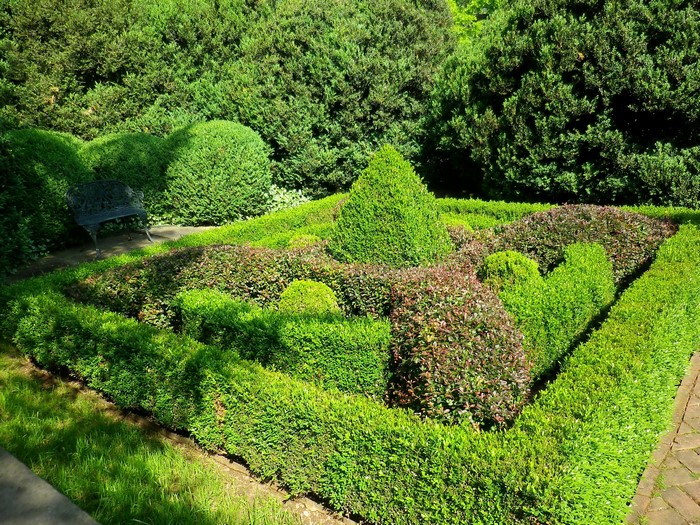 Formal garden with manicured shrubs and a bench