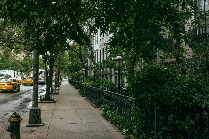 Street scene in New York City with yellow cabs