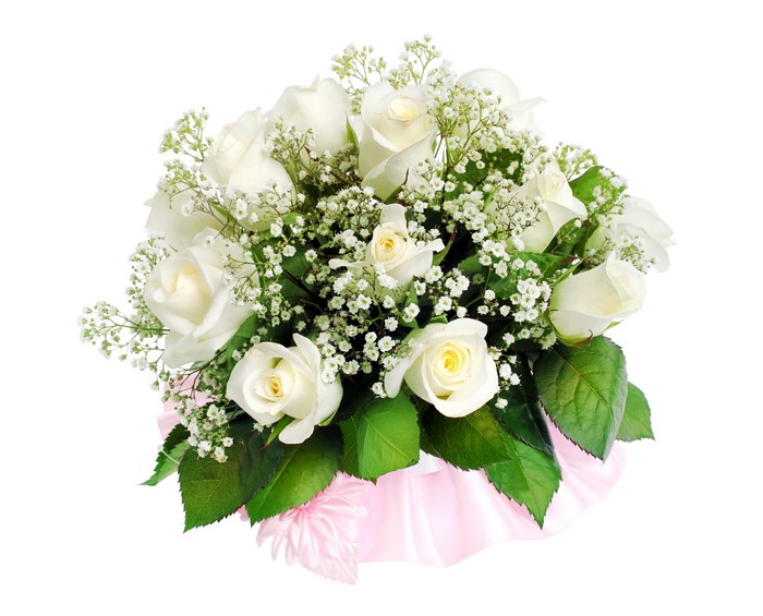Bouquet of white roses with baby's breath
