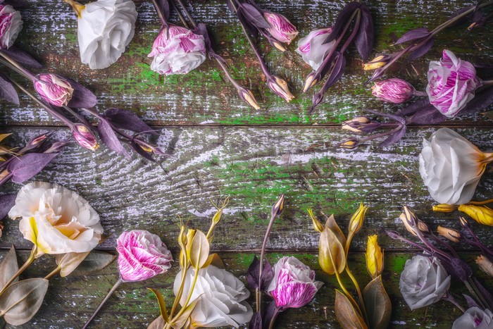 Eustoma flowers and buds on a rustic wooden surface