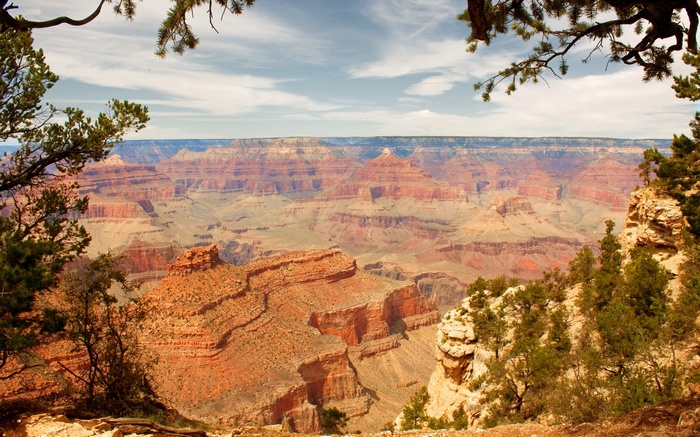 Grand Canyon National Park vista with pine trees