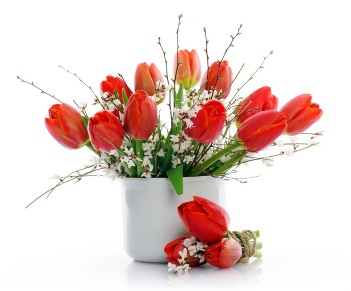 Red Tulips in a White Vase