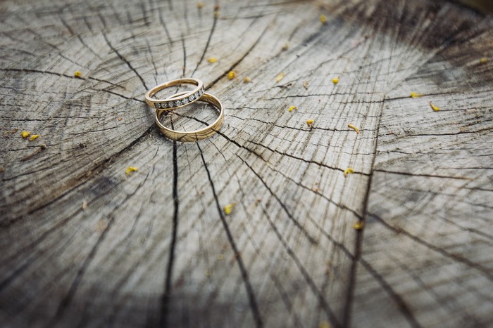 Two gold rings on a tree stump