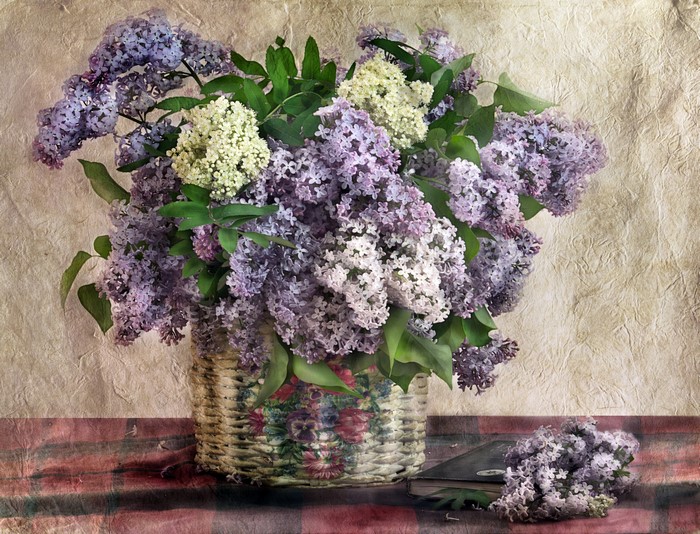 Lilac flowers in a wicker basket on a table