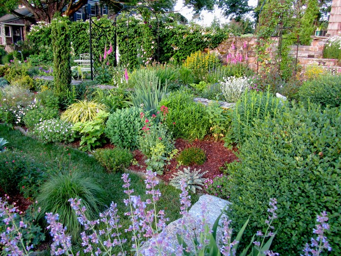 A lush garden with various plants and flowers