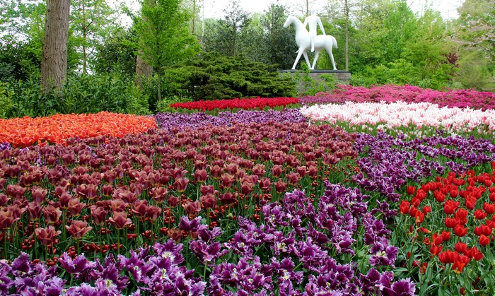 Keukenhof Gardens with Tulip Fields and Sculpture