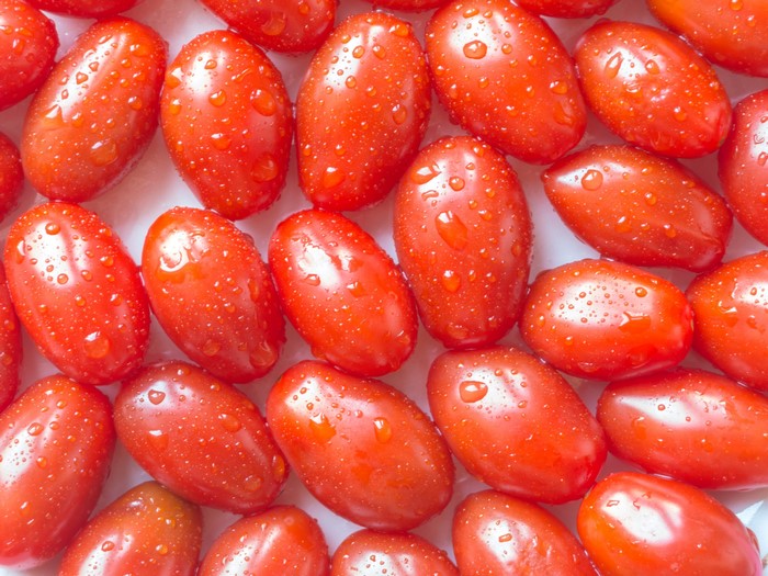 Many ripe red tomatoes with water drops