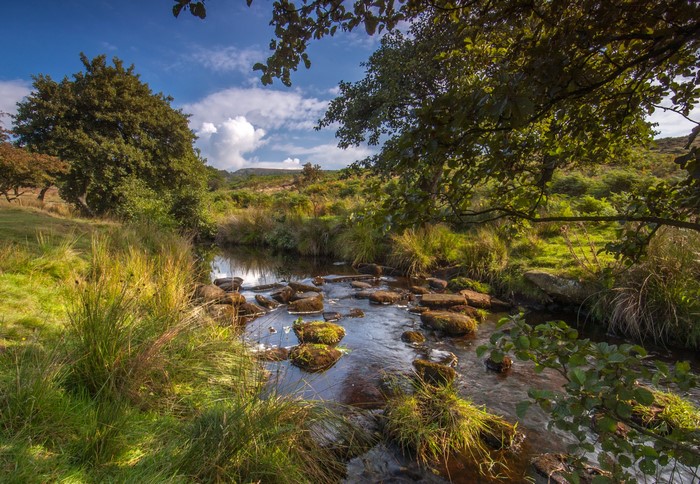 River flowing through Longshaw Estate with trees and grass