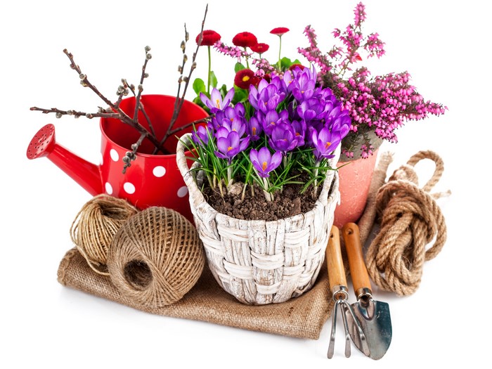 Spring gardening tools and flowers