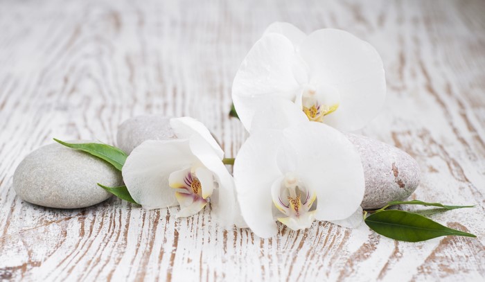 White Orchids and Spa Stones on Wood