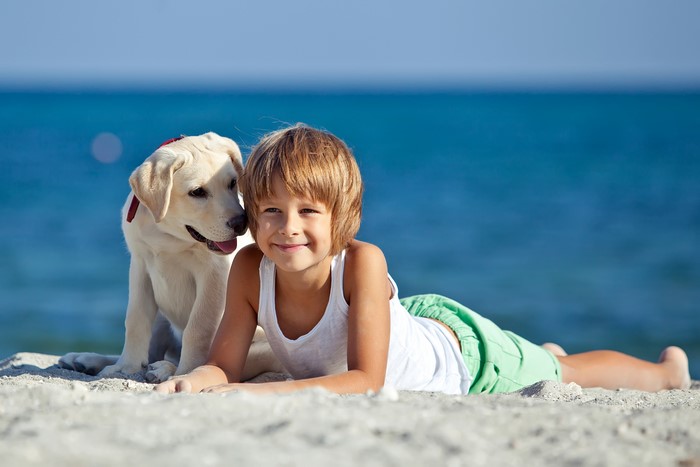 Boy and Labrador Retriever on a Beach